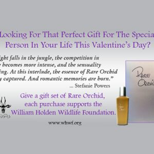 RARE ORCHID VALENTINE'S DAY SPECIAL