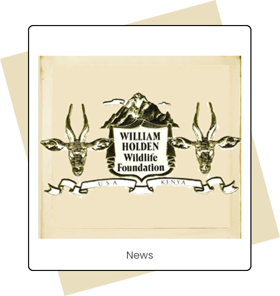 News News